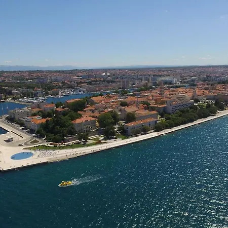 Feral Zadar